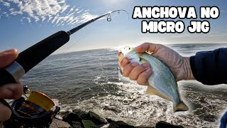 Anchova no jumping jig pescaria no costão fishing microjig [upl. by Latisha852]