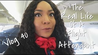 The quotReal Lifequot of a Flight Attendant  Vlog 40  INTERNATIONAL TRIP [upl. by Paik161]