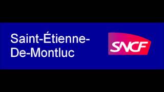 Annonce SNCF sans Simone Hérault en gare de Saint Etienne de Montluc [upl. by Celestine]