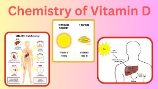 Chemistry of Vitamin D Synthesis and others [upl. by Dunham791]