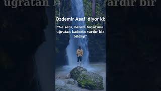 Vardır bir bildiği özdemirasaf şair şiir poetry anlamlısözler shortvideo youtubeshorts yaza [upl. by Hussar]