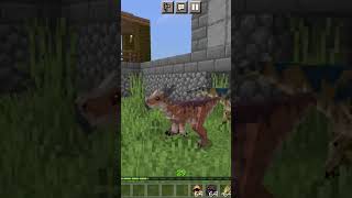 Pachycephalosaurus và Stygimoloch addonmcpe minecraft jurassicaddon dinosaurs blockbench [upl. by Atterbury]