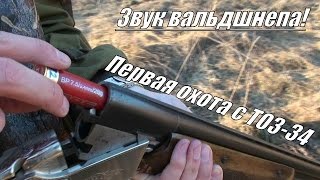 Первый раз с ТОЗ34 на охоту на вальдшнепа Выстрел влет [upl. by Graig307]