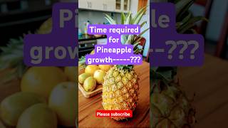 Pineapple growth timeshorts viralshorts facts pineapple [upl. by Josler]