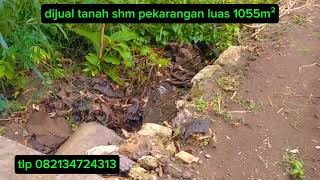 dijual tanah shm pekarangan luas 1055m² harga 120jt aja [upl. by Yedoc439]