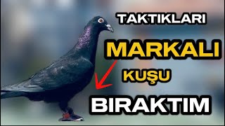 KAÇIP GELEN MARKALI KARA POSTAYI BIRAKTIM NASIL GİDİYOR [upl. by Pachton916]