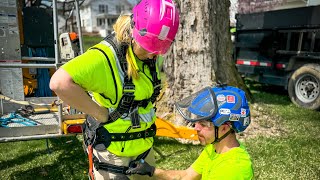 TREE DISASTER Nearly Takes Out Dave AND His Wife 90 FT FALL This is CHAOS treeremoval tree [upl. by Ehman719]