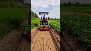 Agricultural Modernization Farmland Mechanization👏🏽 [upl. by Haletky]