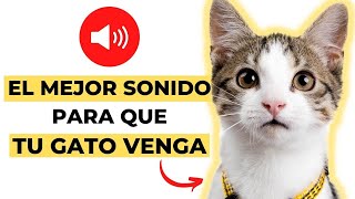 Mejor Sonido para Que tu Gato Venga GARANTIZADO✅ [upl. by Nylasej263]