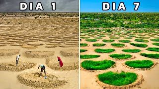 Cómo el Desierto del Sahara se está Transformando en un Oasis Agrícola [upl. by Lrat]