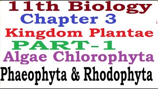 Kingdom PlantaePart1AlgaeGreen algaeRed AlgaeBrown AlgaeCharacters Examples Reproduction [upl. by Deys]