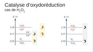 Catalyse rédox  cas de H2O2 [upl. by Balsam]