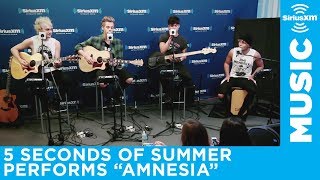 5 Seconds of Summer  quotAmnesiaquot Live  SiriusXM [upl. by Luane]