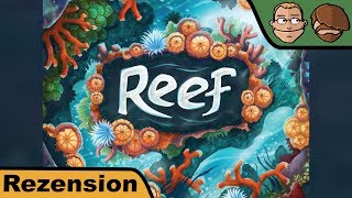 Reef  Brettspiel  Review [upl. by Adnof]