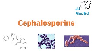 Cephalosporin Antibiotics 1st to 5th Generation Mechanism Side Effects and Bacterial Targets [upl. by Sola]