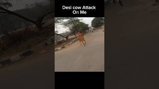 Desi cow attack on me shortsviral shortsvideo shortsfeed trending r15lover [upl. by Eglantine775]