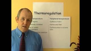 Thermoregulation 5 Body temperature [upl. by Peoples]