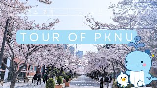 Tour Of Pukyong National University PKNU In South Korea  부경대학교의 캠퍼스 견학 [upl. by Jorgenson]