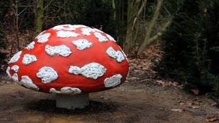 Sprookjesbos  Paddenstoelen  Menuet in G  Efteling Melodieën [upl. by Eiramanin]