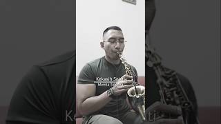 Kekasih Sejati  Monita Tahalea Velix Saxo Cover [upl. by Tilla538]