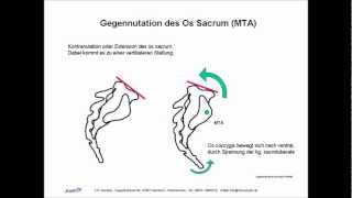 ISG Ilio Sacral Gelenk Biomechanik Manuelle Therapie Osteopathie Skript [upl. by Yornek]