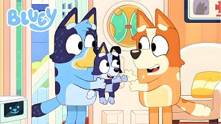 BLUEY SURPRISE EPISODE IN 8 MINUTES Season 3 Finale [upl. by Pickar807]