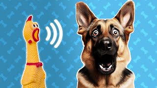 5 Squeaky Toy Sound For Dogs  Dog Sounds and Noises [upl. by Htebsil]