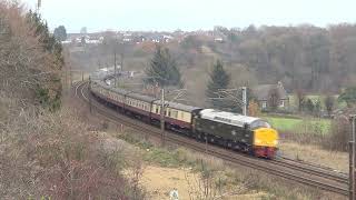 Class 40 D213 Andania storms up the bank at Relly Mill Durham with 1Z70  261123 [upl. by Freemon106]