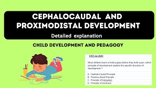 Direction of Development  Cephalocaudal and Proximodistal  Child development and Pedagogy [upl. by Anayet]