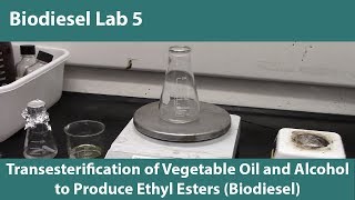 Lab 5 Transesterification of Vegetable Oil and Alcohol to Produce Ethyl Esters Biodiesel [upl. by Napra]