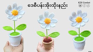 ဒေစီပန်းအိုးထိုးနည်း [upl. by Kerianne582]