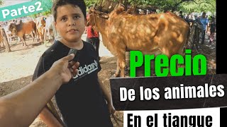 precio de los animales en EL TIANGUE 🐂🐐 y Comiendo la mejor sopa de puya de El Salvador [upl. by Elehcir]