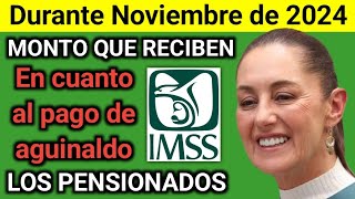 ¡Atención Jubilados y Pensionados La Suma del Aguinaldo que Recibirán del IMSS es Sorprendente [upl. by Apthorp]