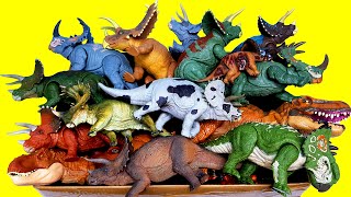 Lots of Tirceratops Sinoceratops Pentaceratops Trex  Jurassic world Dinosaurs 본심남개 공룡 슐라이히 뿔공룡 [upl. by Negriv]