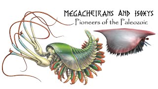 MEGACHEIRANS AND ISOXYS Pioneers of the Paleozoic [upl. by Odella765]