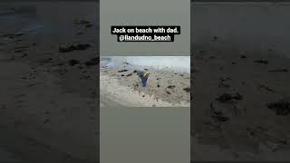 Jack and daddy timeLlandudno beach [upl. by Asiela921]