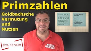 Primzahl  Was ist das  Mathematik  einfach erklärt mit Nerdwissen  Lehrerschmidt [upl. by Aynos]