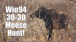 Moose Hunt The 3030 win94 fills the freezer [upl. by Nannerb]