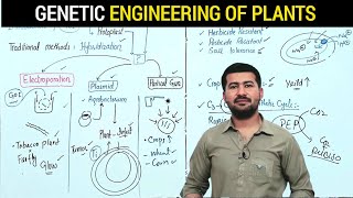 Genetic engineering of Plants  How Scientists are Modifying Crops to Benefit Agriculture [upl. by Lrem910]