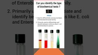 Quiz10  Biochemical test for identification of bacteria  shorts microbiology [upl. by Wettam680]