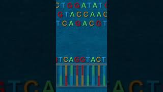 CRISPR Explained [upl. by Yerdna]