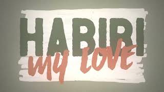 KiDi  Habibi Official Lyric Video [upl. by Ogg]