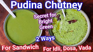 Multipurpose Pudina Chutney  Mint Chatni 2 Ways  Pudina Ki Chatni for Sandwich Idli Dosa amp Rice [upl. by Hintze553]