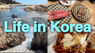 koreanshopping for Korean martsKorean vlogKorean foodKorea life장보고 외식하고 밥해먹고 물놀이가는 대구일상 [upl. by Yenar]