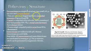 Microbiology 494 a Polio Virus PicoRNAVirus Structure [upl. by Garfinkel]