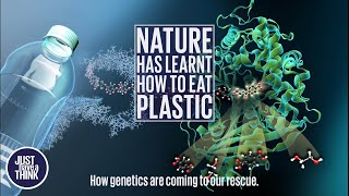 Nature has learnt how to eat our plastic [upl. by Care]