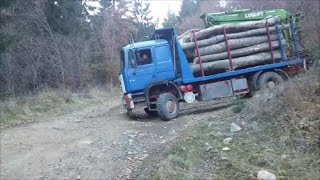 MAN 4x4 Holztransporter [upl. by Genaro]