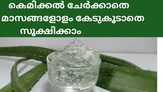 How To Store Homemade ALOE VERA GEL for Long Time  100 Pure Homemade Aloe Vera Gel [upl. by Anerok874]