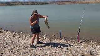 Watch me catch a catfish at Cochiti Lake fish WildhookAdventures deadpool [upl. by Killy]