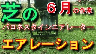 芝活2019年6月 芝生のエアレーションとコア集め バロネスタインエアレーター [upl. by Andriette]